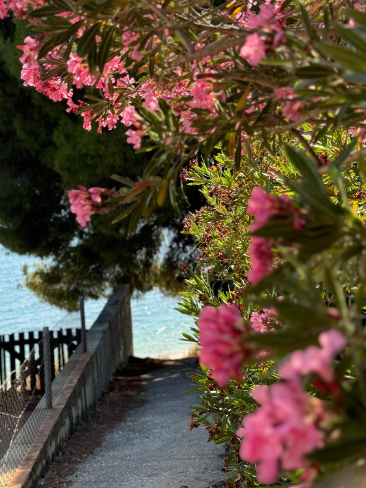 Villa Stadi نيكيتي المظهر الخارجي الصورة