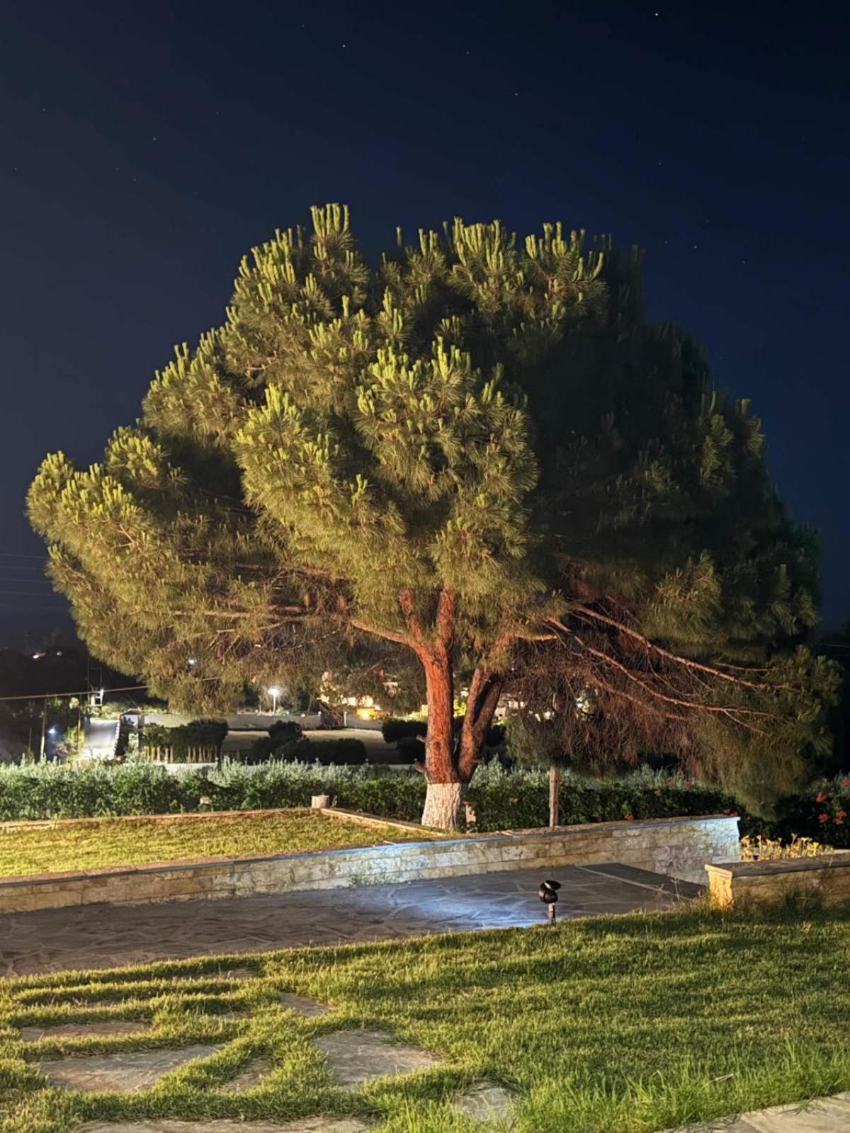 Villa Stadi نيكيتي المظهر الخارجي الصورة